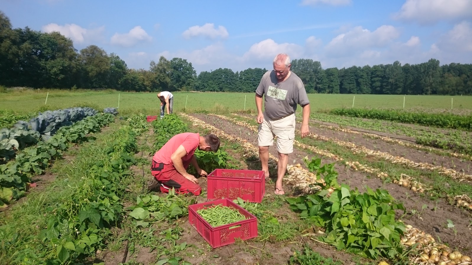 Solidarische Landwirtschft