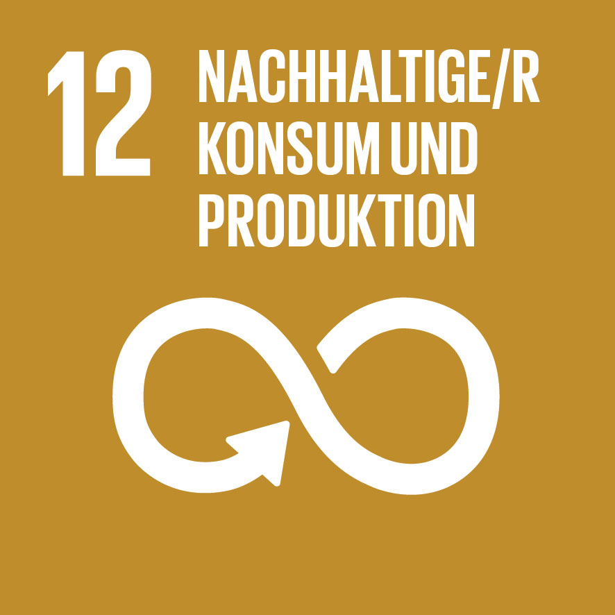 Sustainable Development Goals_icons-12